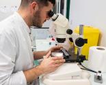 laborantin réalisant des analyses au microscope