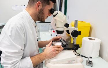 laborantin réalisant des analyses au microscope